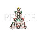 Pipsqueak Productions Pipsqueak Productions C542 Holiday Boxed Cards- Boston Terrier C542